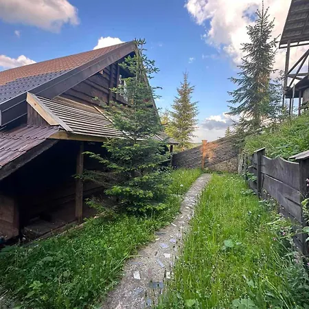 Shepit Karpat * Bukowel