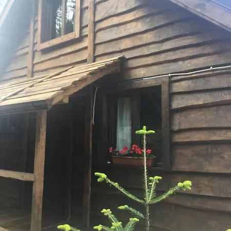 Shepit Karpat * Bukowel