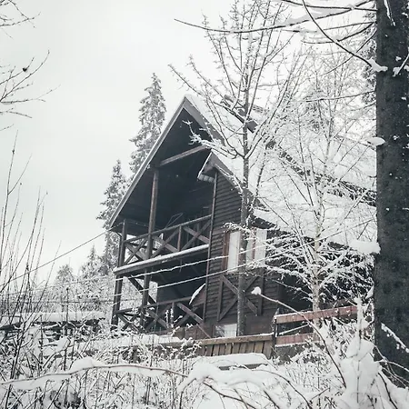 בקתה Shepit Karpat *