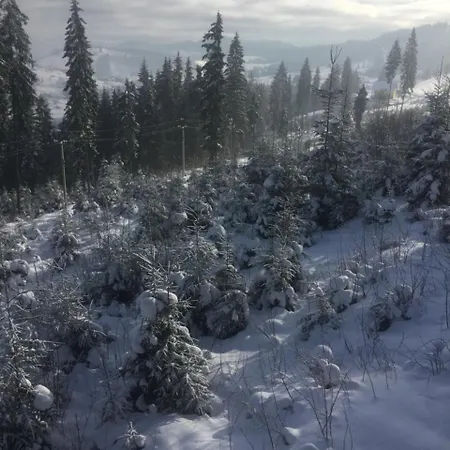 Shepit Karpat Dağ evi Bukovel
